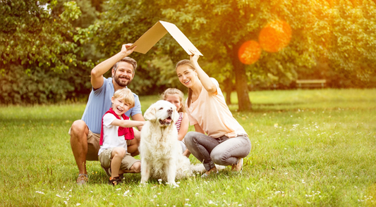 6 Must know Eco-Friendly Tips for Pet Owners