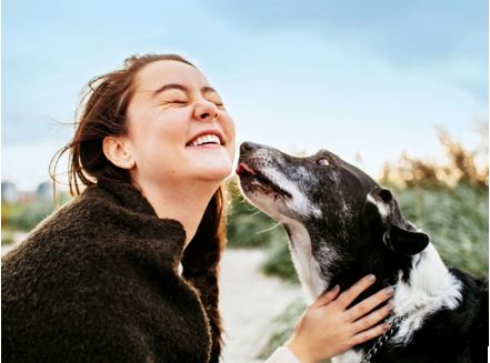 PETS CAN BE YOUR RELIABLE QUARANTINE BUDDY