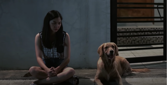 Talking to your pets can make you feel better