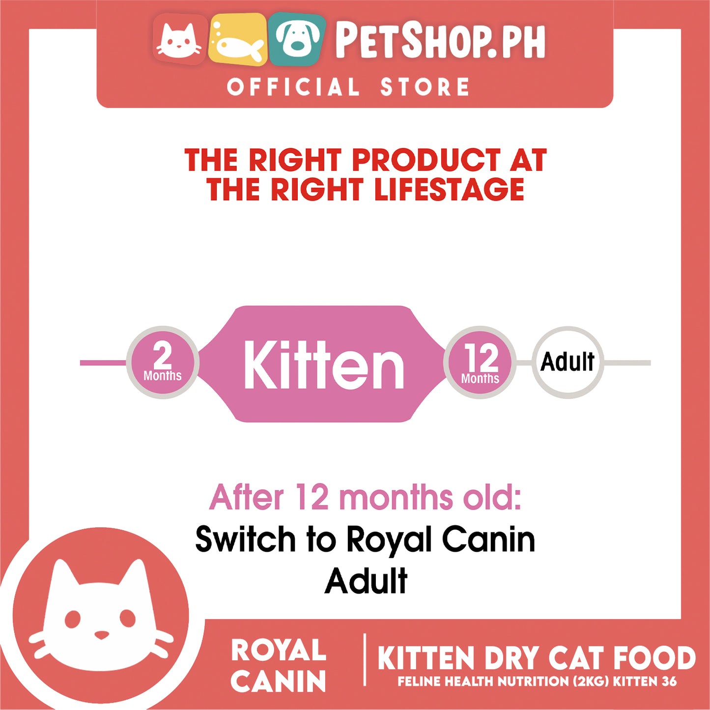 Royal Canin Feline Health Nutrition Kitten Dry Cat Food 2kg