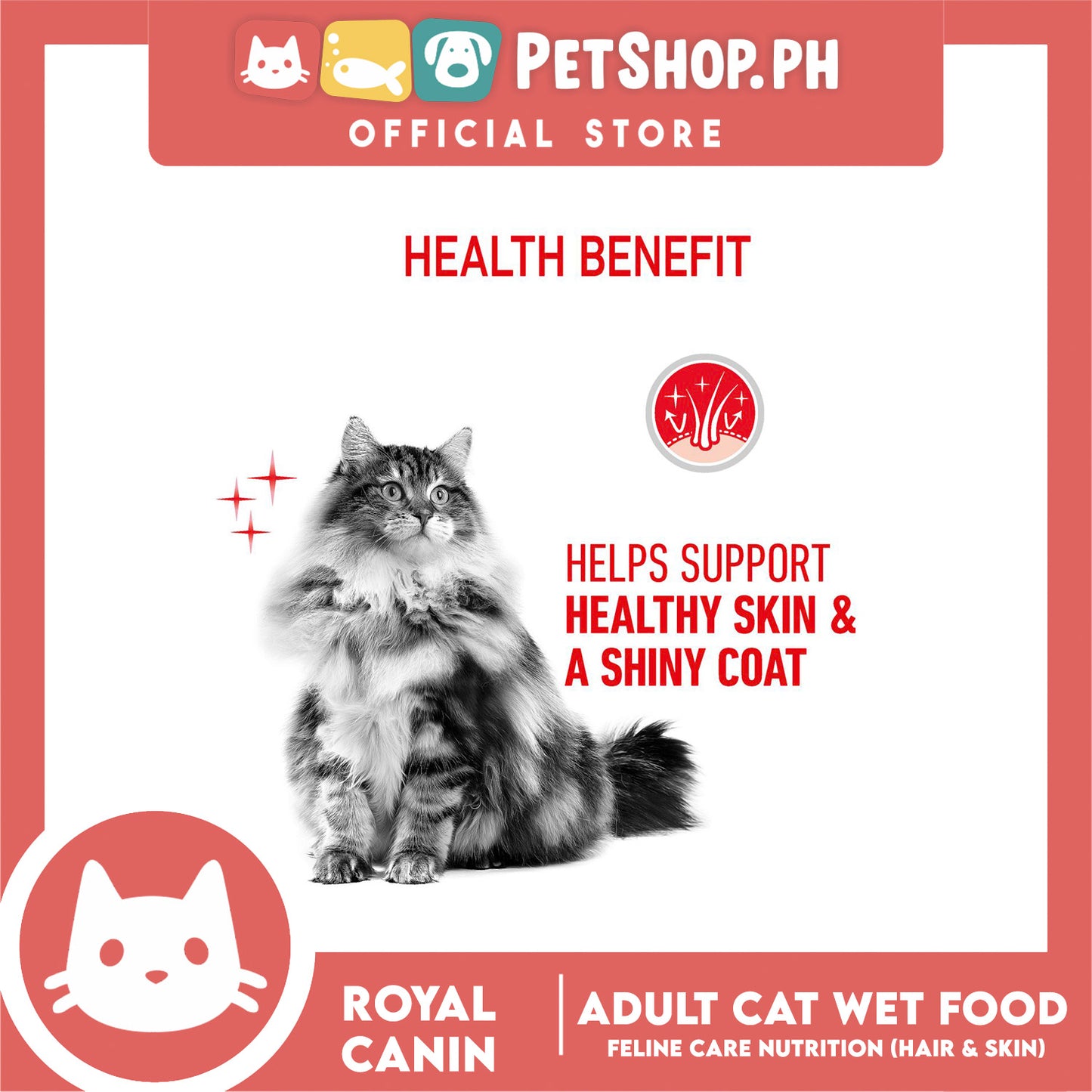 Royal Canin Hair and Skin Care (12x85g) Adult Wet Cat Food - Feline Care Nutrition