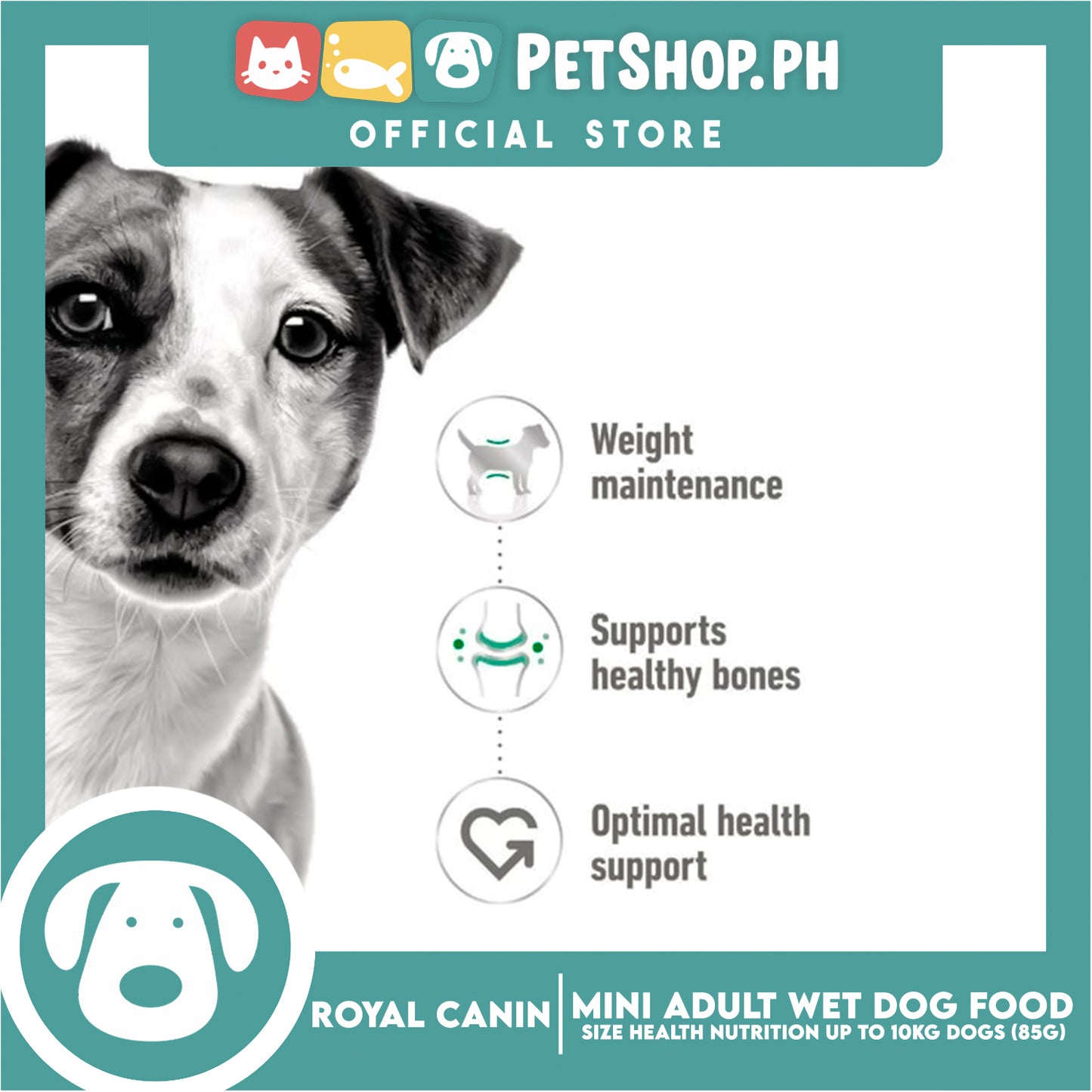 Royal Canin Mini Adult (85g x 12 pouches) Wet Dog Food - Size Health Nutrition