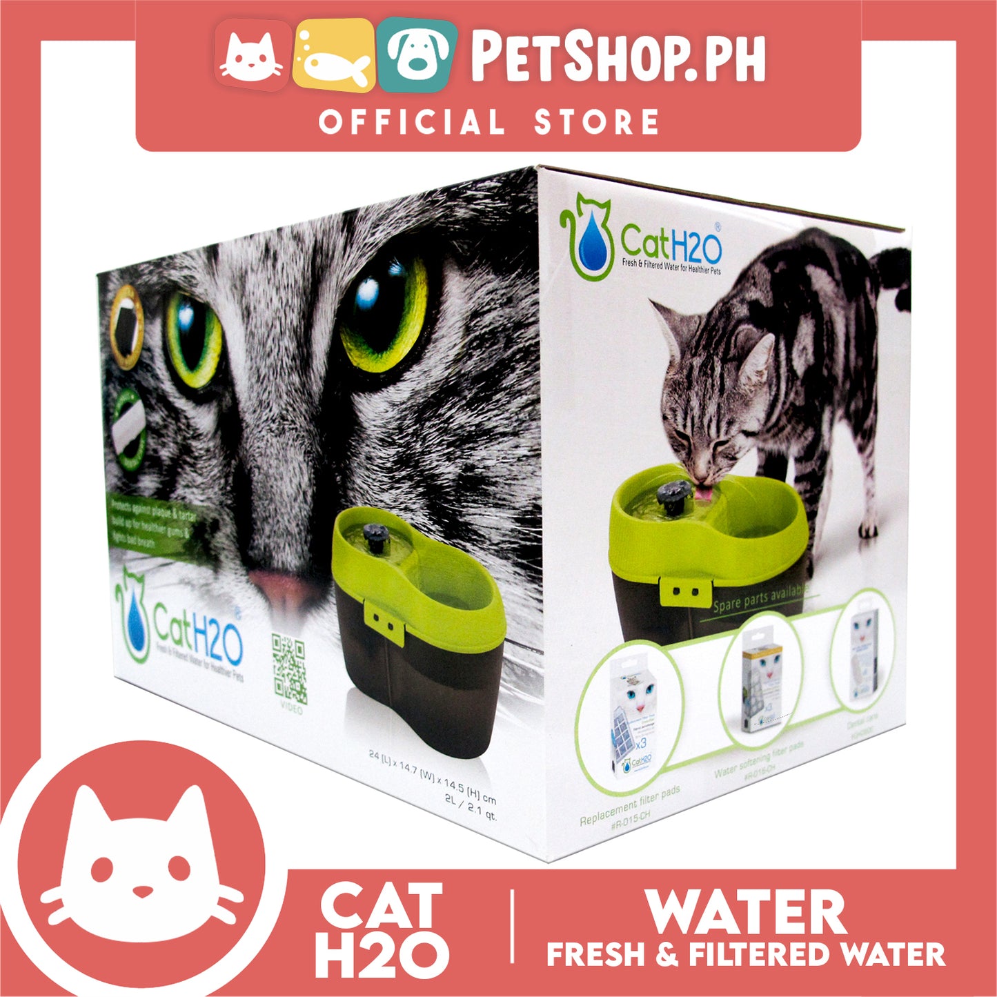Cat H2o 2 Liters Water Fountain BPA Free with Filter and Dental Care