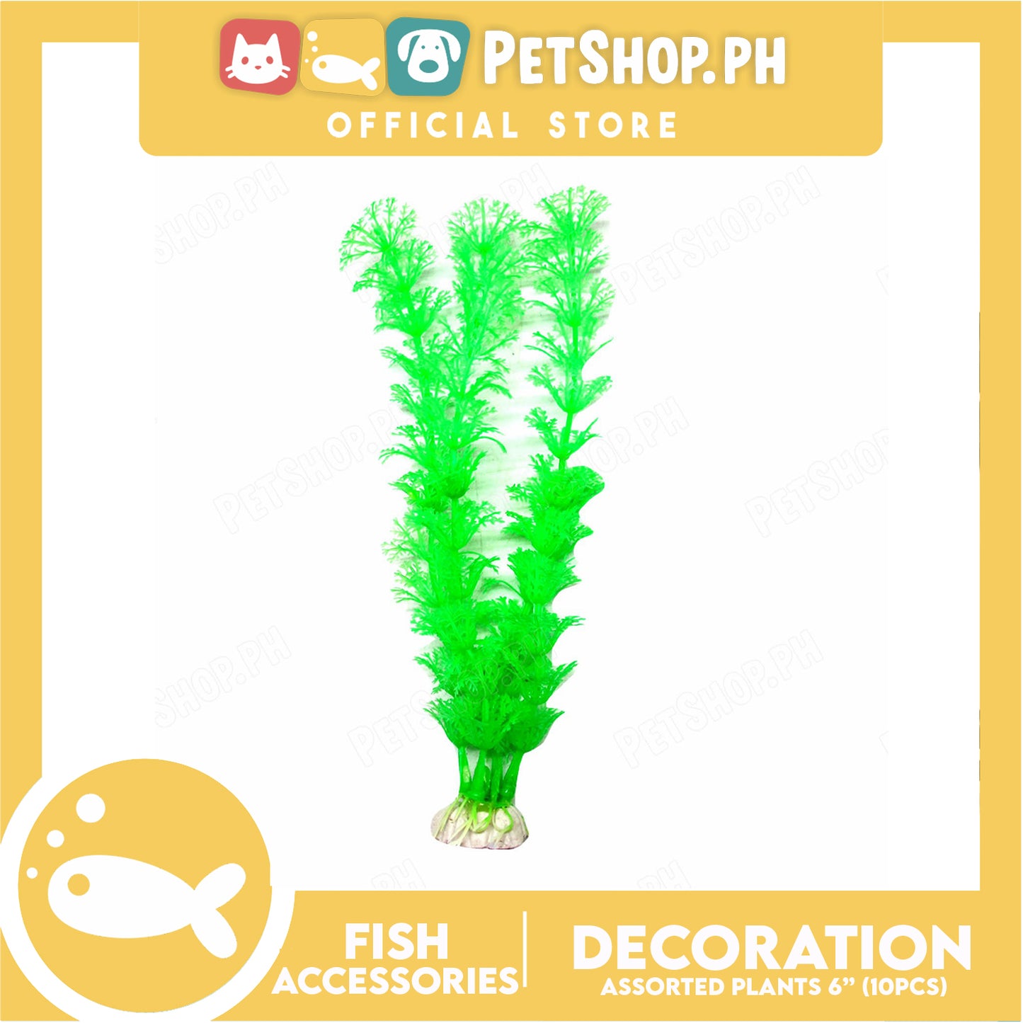 Plants 6" 10pcs Assorted