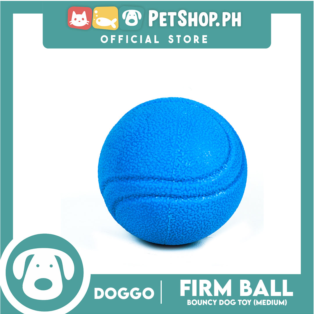 Doggo Bouncy Firm Ball Natural Rubber Medium Size (Blue) Dog Toy
