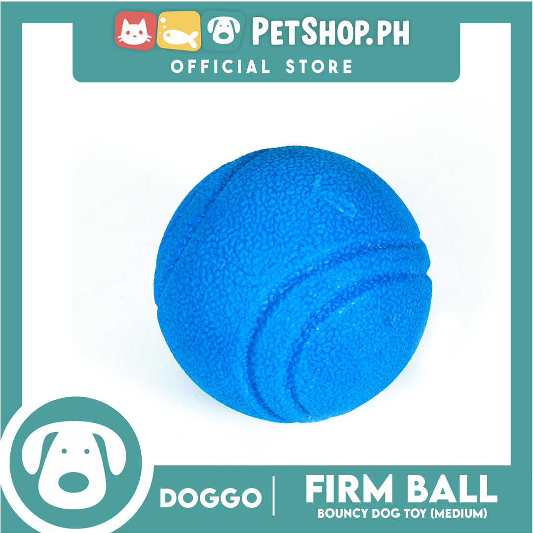 Doggo Bouncy Firm Ball Natural Rubber Medium Size (Blue) Dog Toy