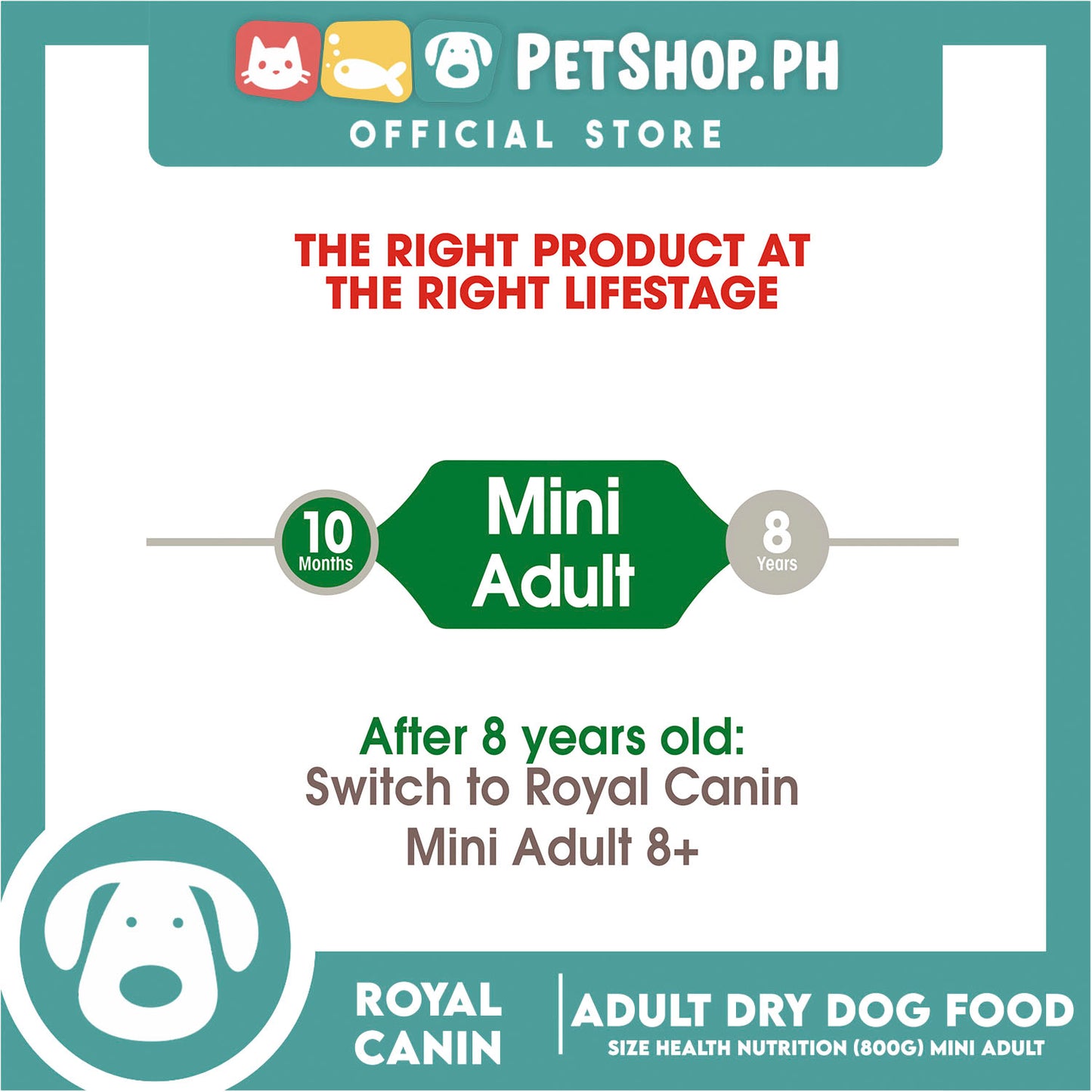 Royal Canin Mini Adult (800g) Dry Dog Food - Size Health Nutrition