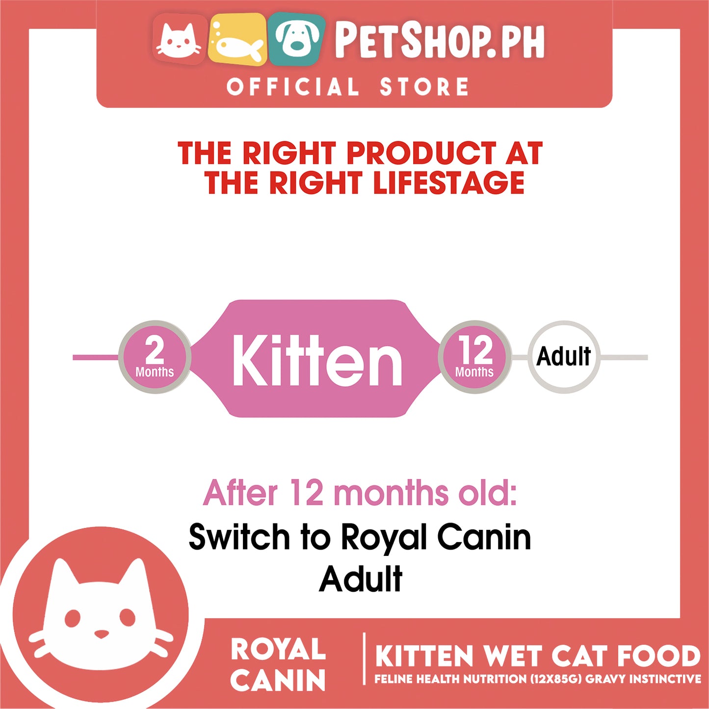 Royal Canin Kitten Gravy (85g x 12) Wet Cat Food - Feline Health Nutrition