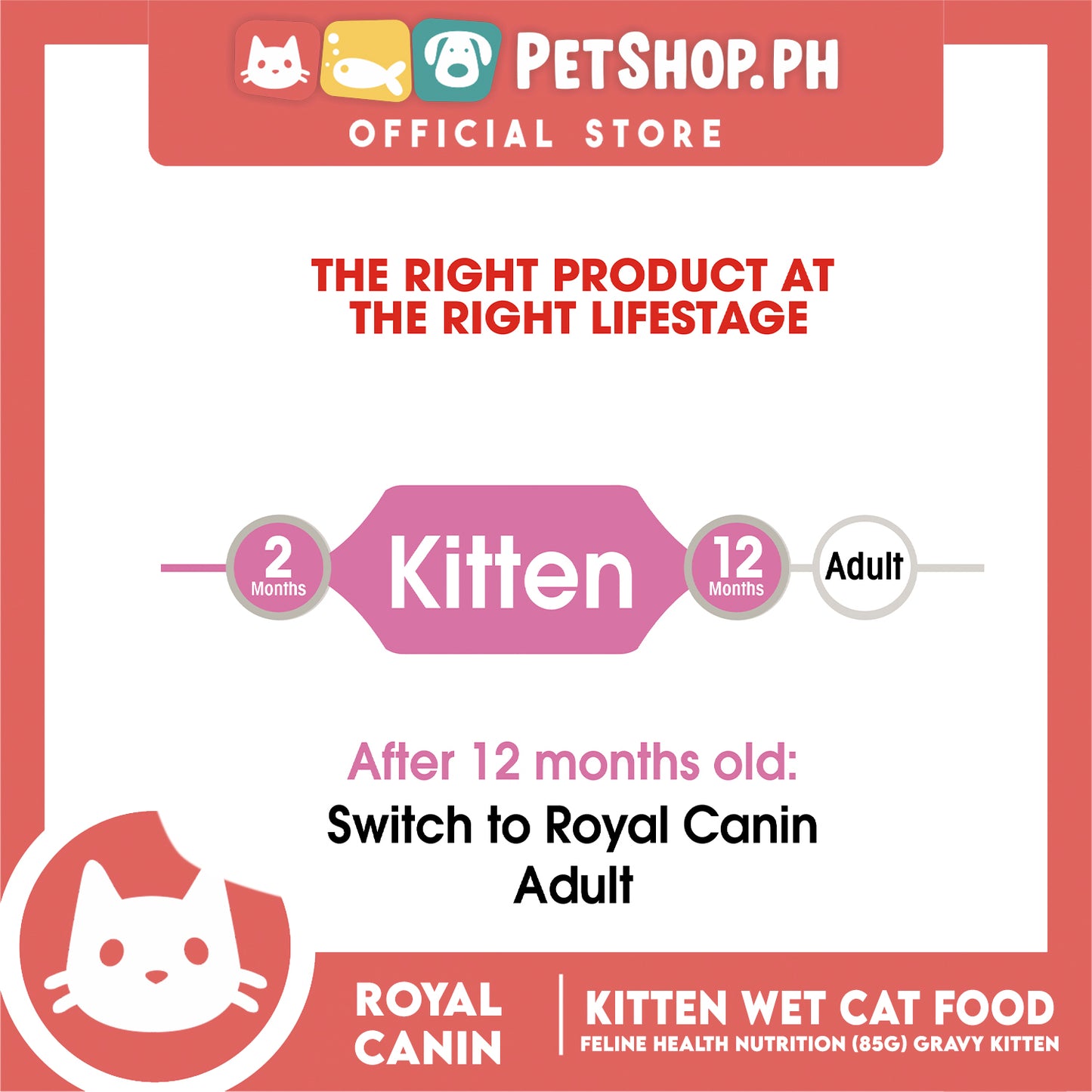 Royal Canin Kitten Gravy (85g) Wet Cat Food - Feline Health Nutrition