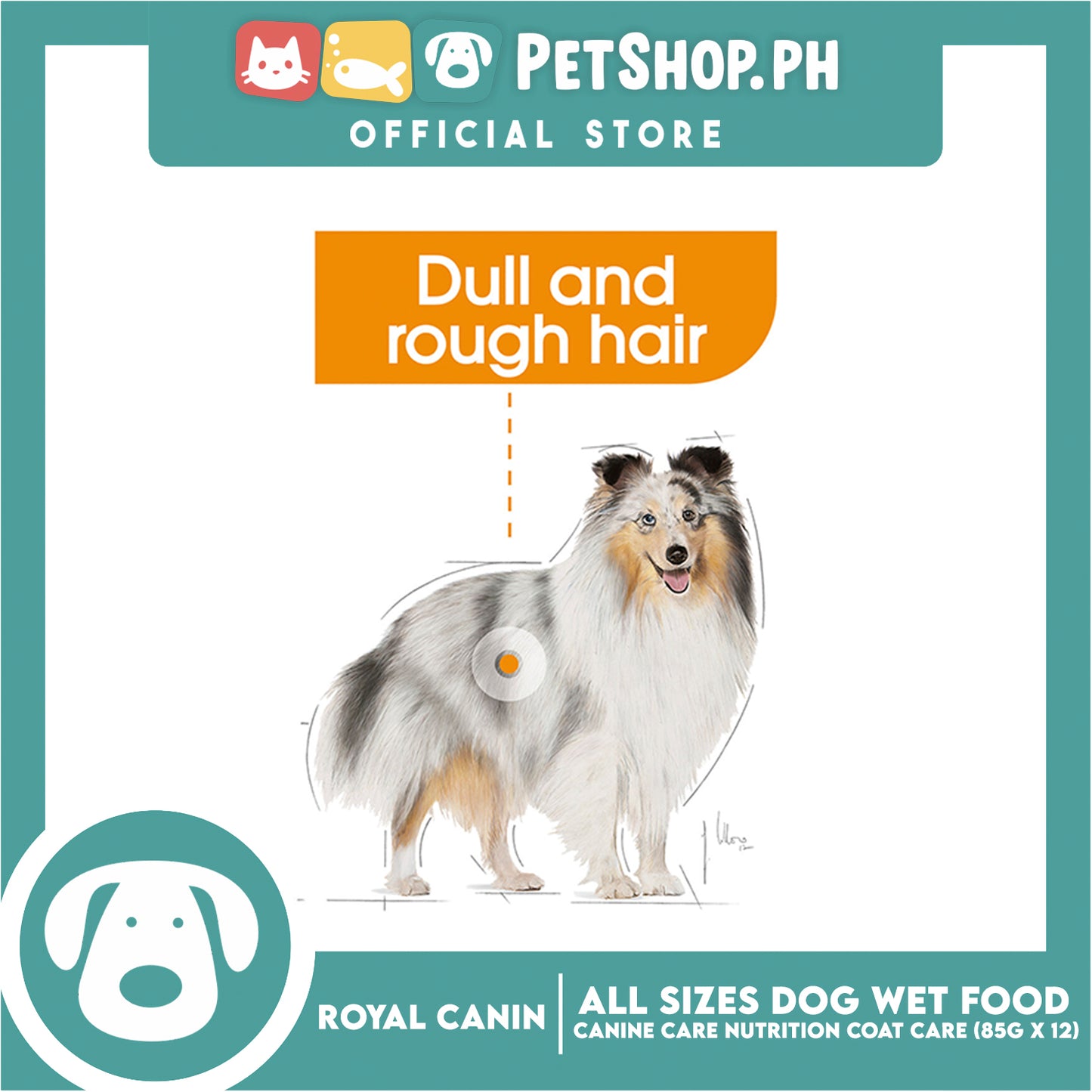 Royal Canin Coat Care Loaf (85g x 12) Adult Wet Dog Food - Canine Care Nutrition