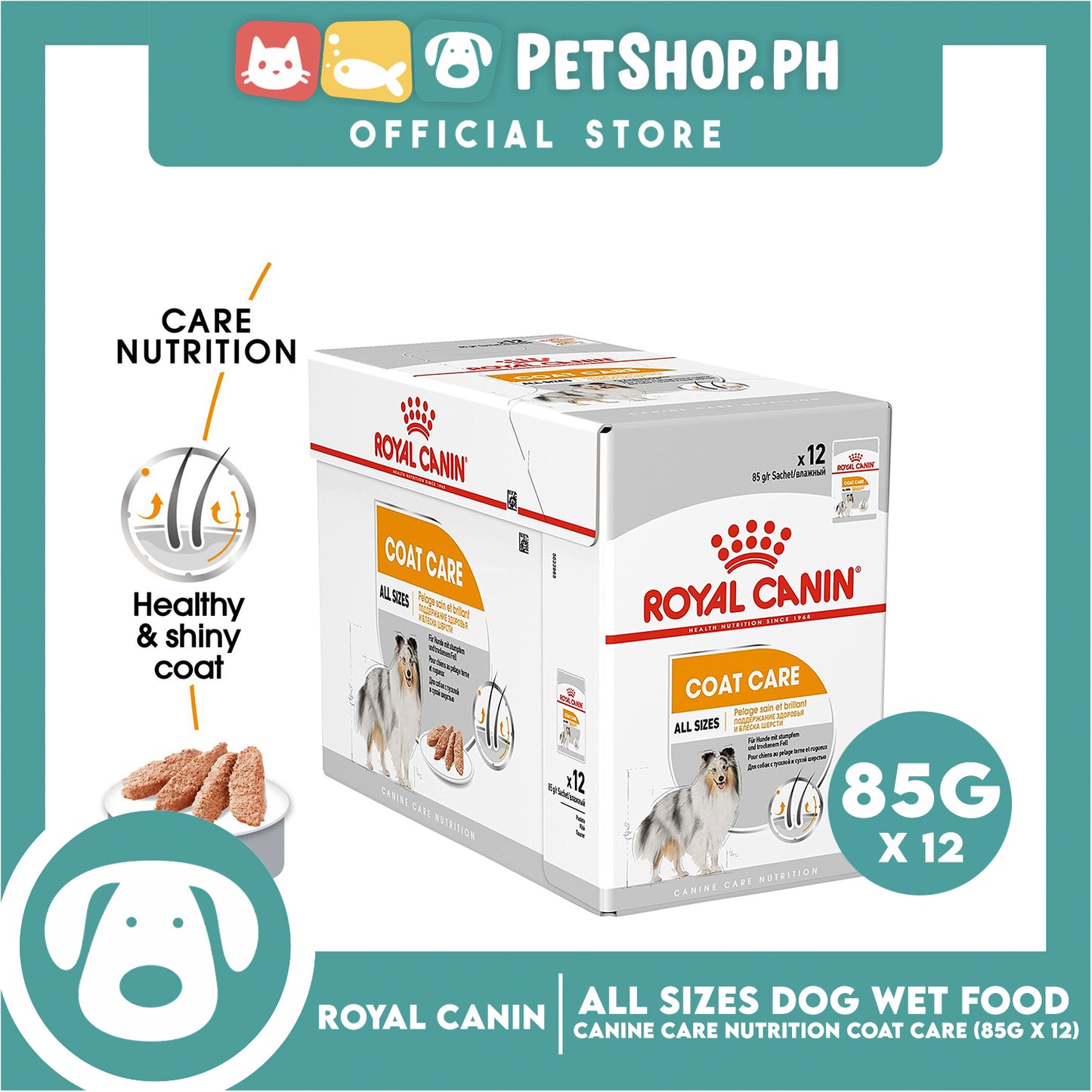Royal Canin Coat Care Loaf (85g x 12) Adult Wet Dog Food - Canine Care Nutrition