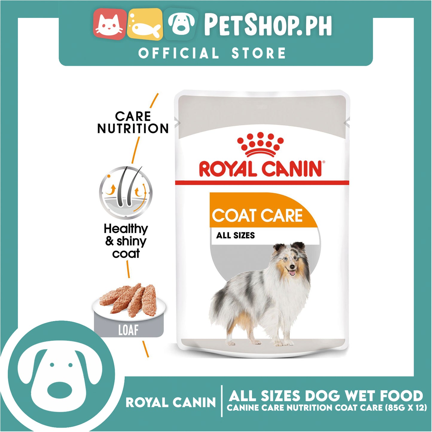 Royal Canin Coat Care Loaf (85g x 12) Adult Wet Dog Food - Canine Care Nutrition