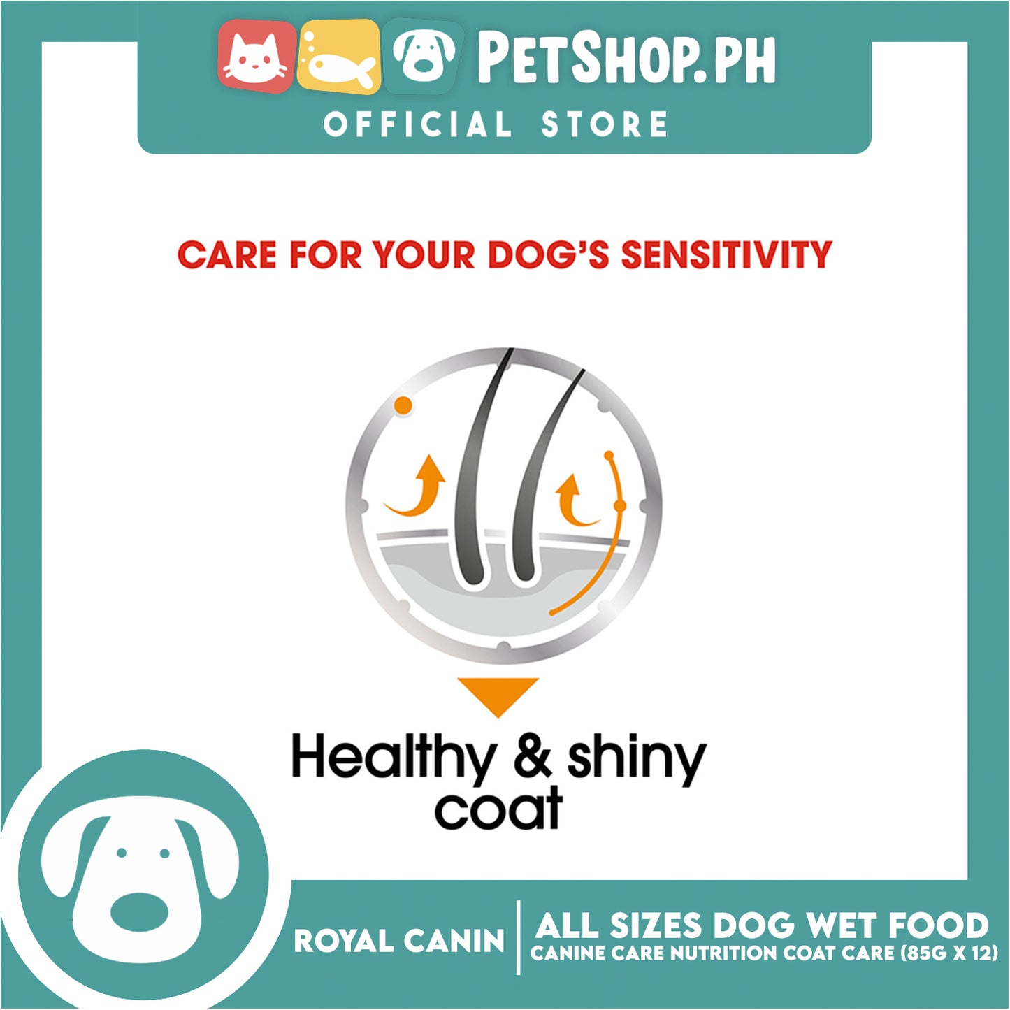 Royal Canin Coat Care Loaf (85g x 12) Adult Wet Dog Food - Canine Care Nutrition