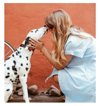 CAN YOUR PET DOG HELP YOU THROUGHOUT YOUR DEPRESSION?