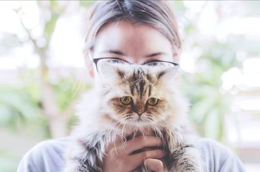 SCIENTIFIC BENEFITS OF BEING A CAT OWNER