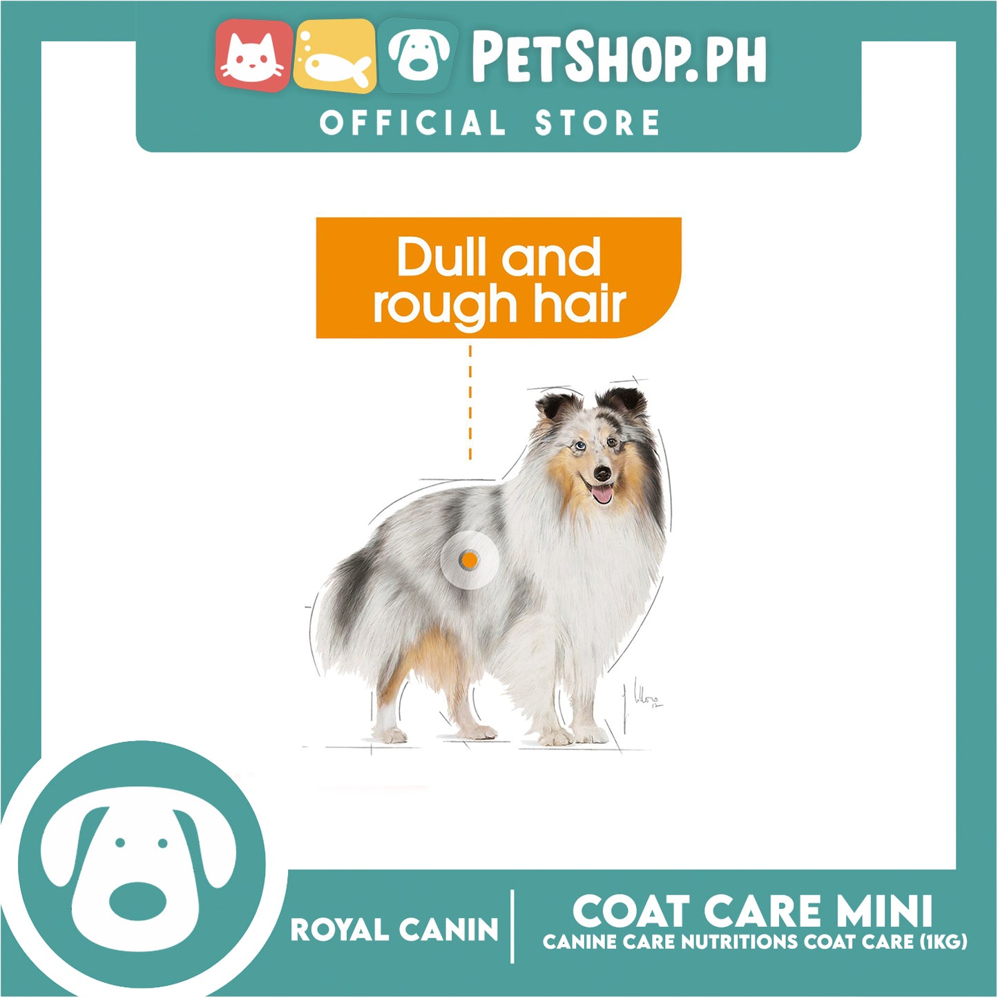 Royal Canin Coat Care (1kg) Adult Dry Dog Food - Canine Care Nutrition