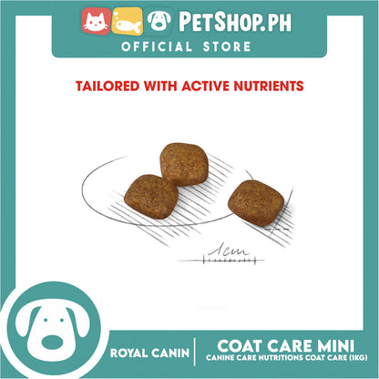 Royal Canin Coat Care (1kg) Adult Dry Dog Food - Canine Care Nutrition