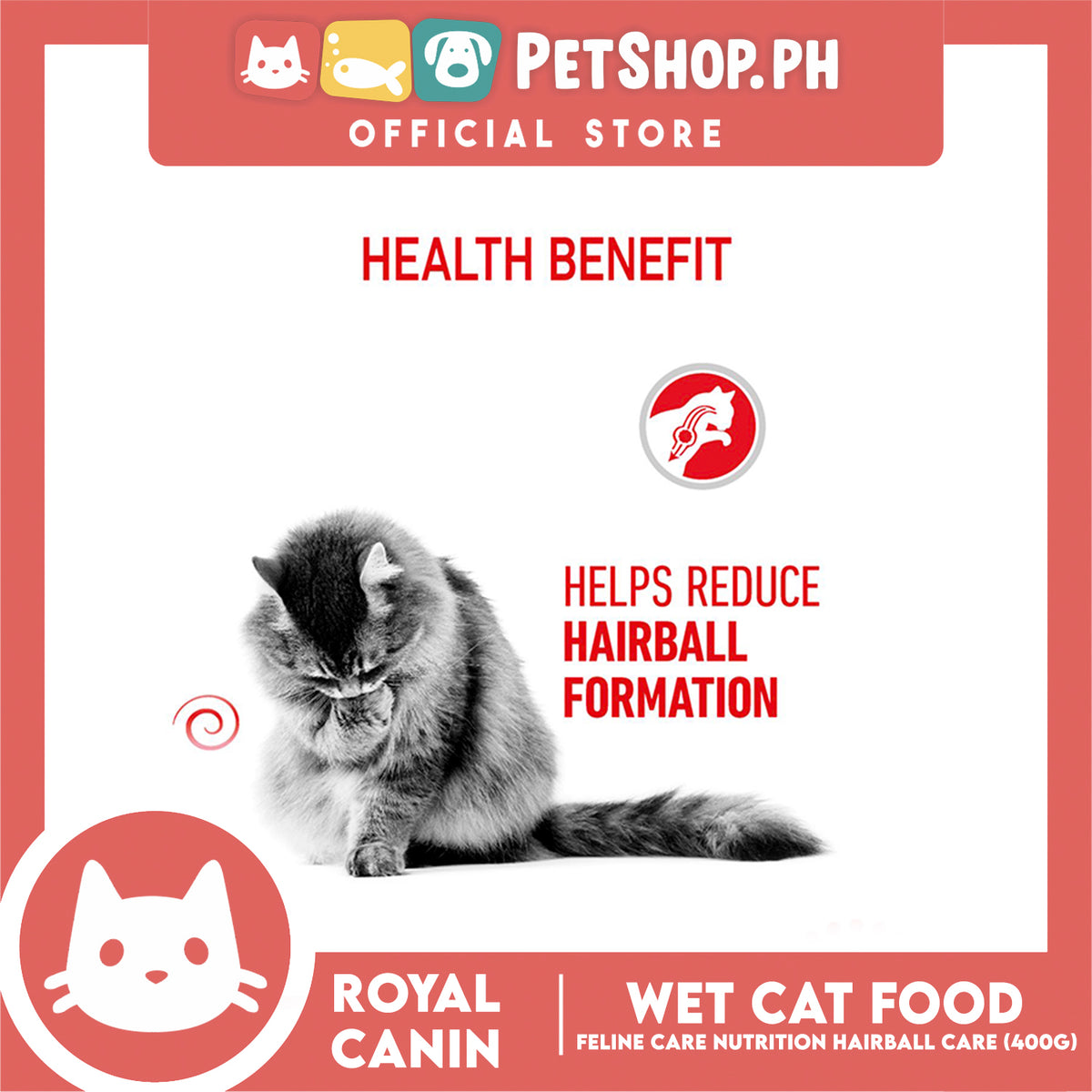 Royal Canin Hairball Care (400g) Adult Dry Cat Food - Feline Care Nutrition
