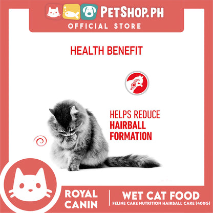 Royal Canin Hairball Care (400g) Adult Dry Cat Food - Feline Care Nutrition