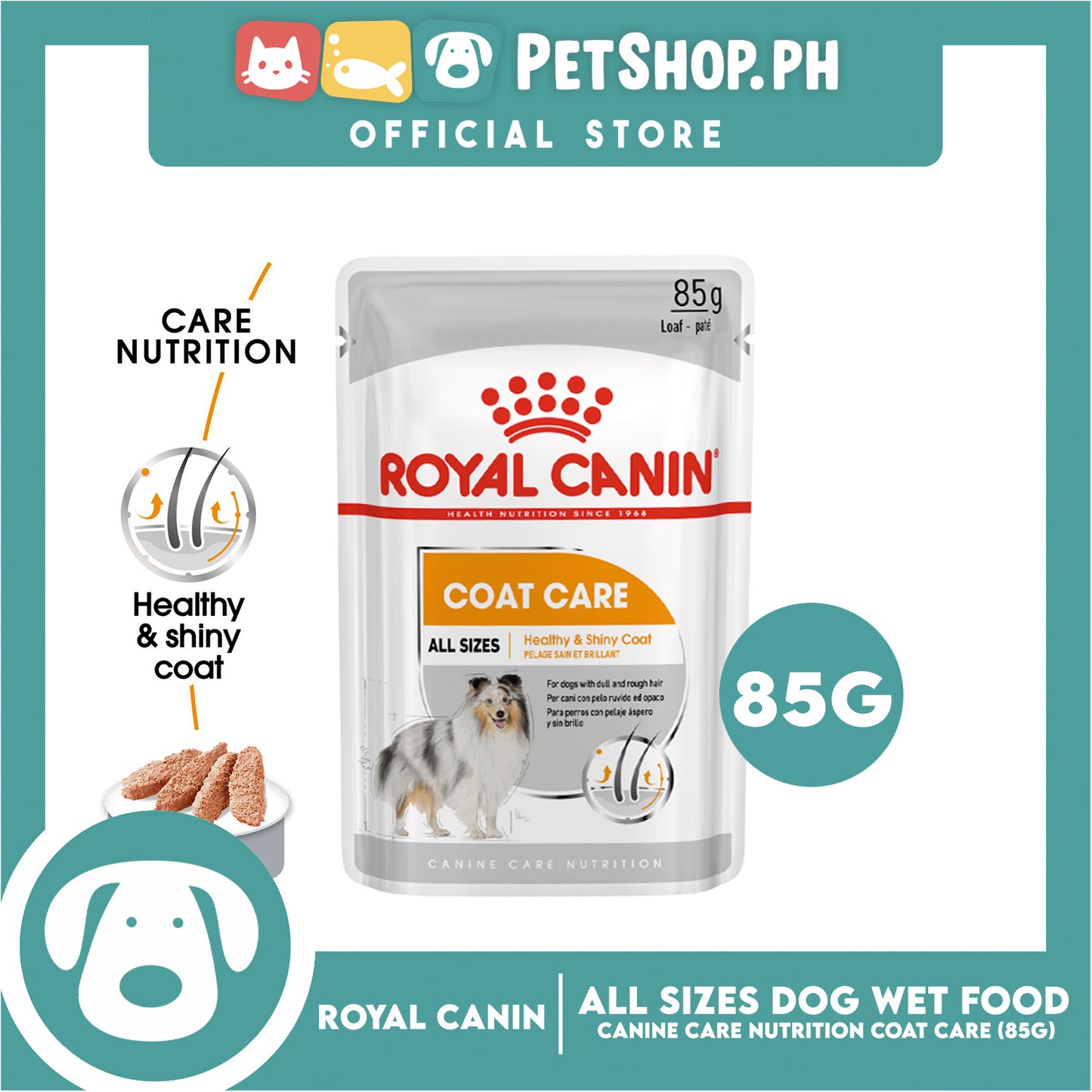 Royal Canin Coat Care Loaf (85g) Adult Wet Dog Food - Canine Care Nutrition