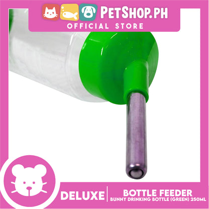 Deluxe Bunny Drinking Bottle Green 250ml