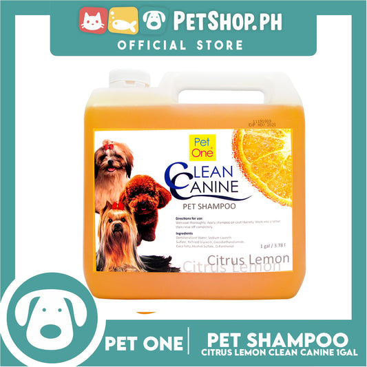 Pet One Clean Canine Pet Shampoo 1 Gallon 3.78 Liters (Citrus Lemon Scent)