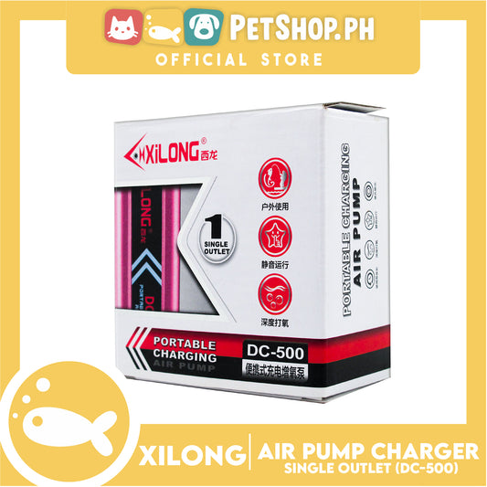 DC-500 Portable Air Pump