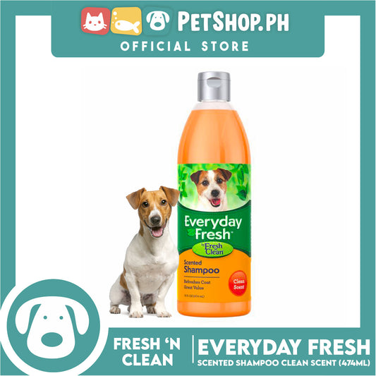 Fresh 'n Clean Everyday Fresh Scented Shampoo Clean Scent 16oz Dog Shampoo