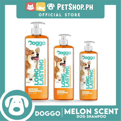 Doggo Shampoo Long Lasting Deodorizing Effect 250ml (Melon)