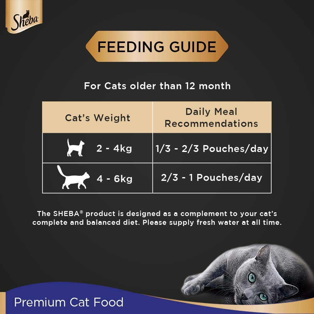 Sheba Kitten Chicken Premium Loaf 70g Fine Food for Kitten
