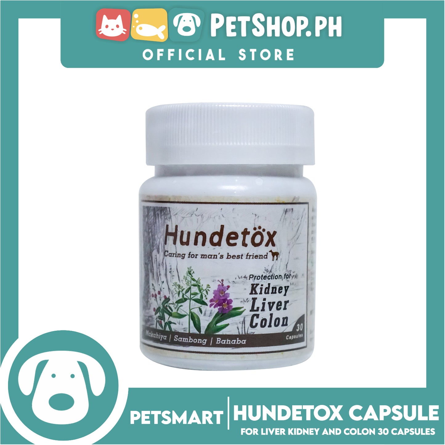 Hundetox Supplement 30 Capsule Protection for Kidney, Liver, Colon for Dogs