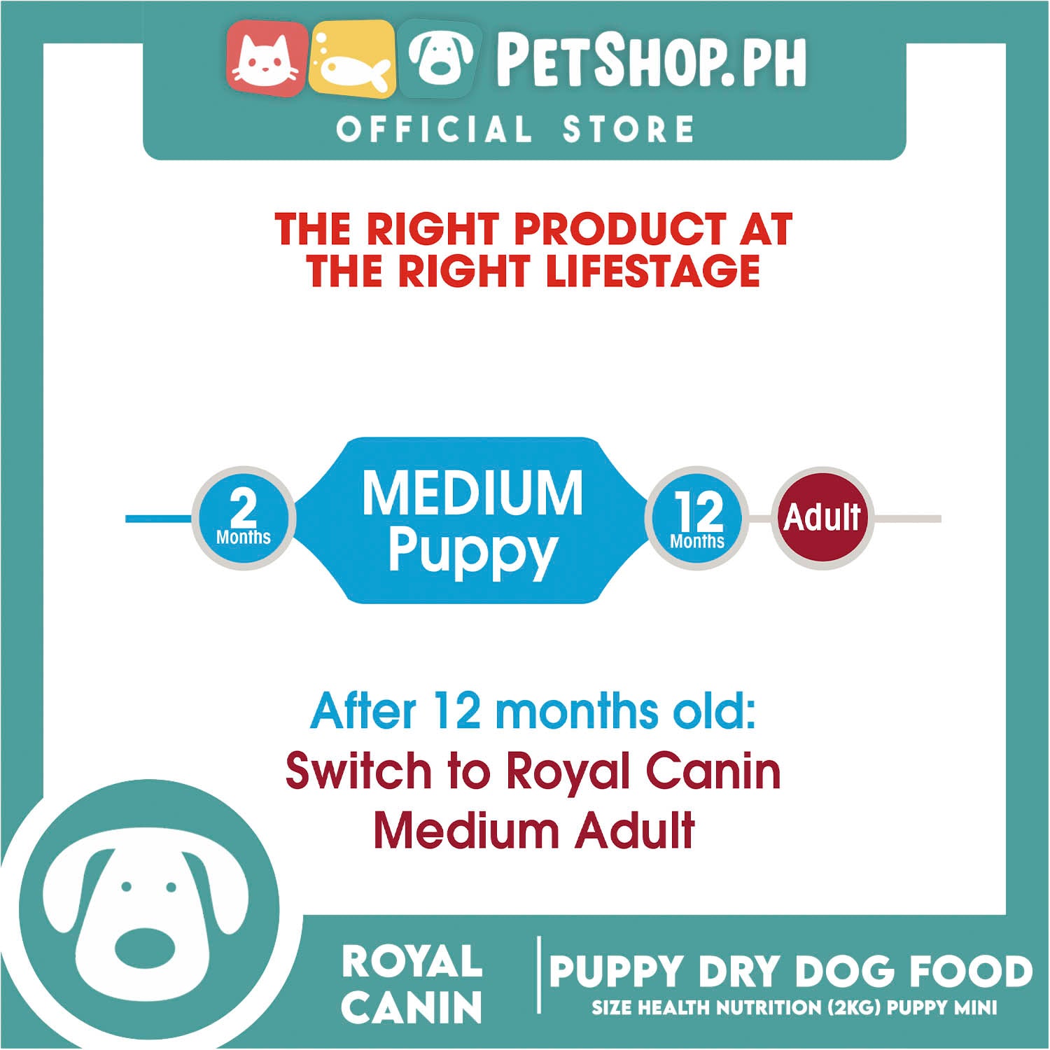 Royal canin medium puppy sales 2kg