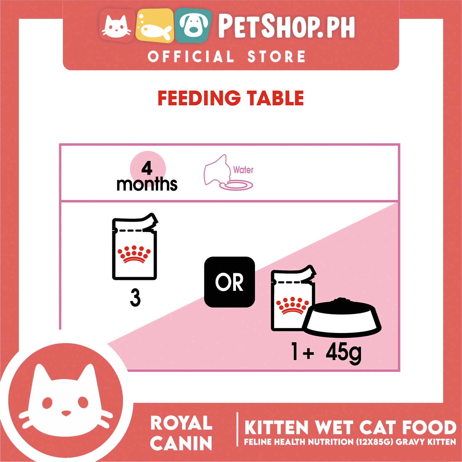 Kitten feeding guide wet and dry cheap