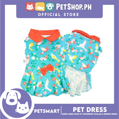 Pet Dress Birds Aqua Blue with Tangerine Collar and Ribbon (Small) DG-CTN179S