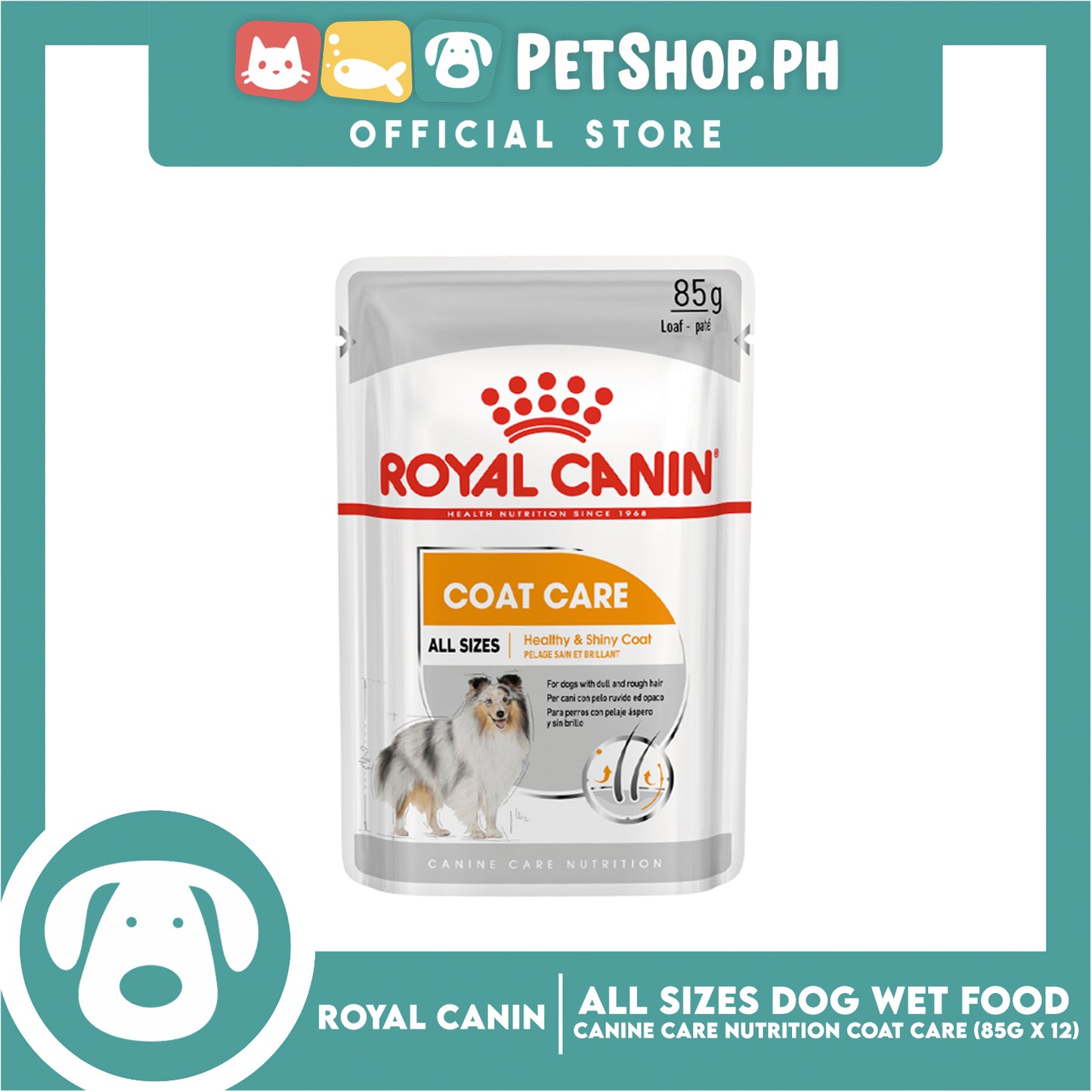 Royal Canin Coat Care Loaf (85g x 12) Adult Wet Dog Food - Canine Care Nutrition